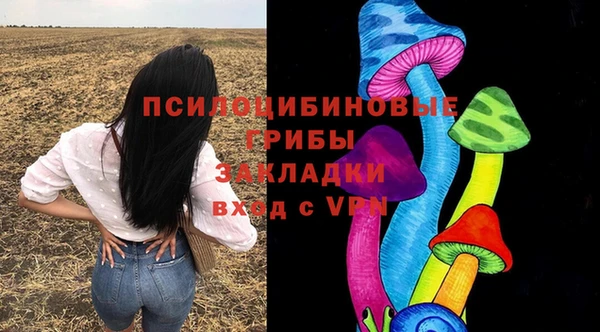 гидропоника Богданович